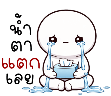 ลายที่ 25