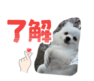 834086805