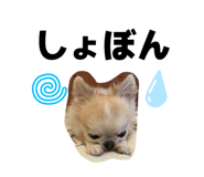 834086813
