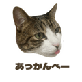 834087582