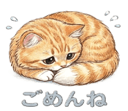 834088344