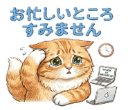 834088366