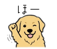 834097626