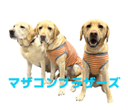 834097785
