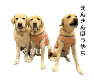 834097788