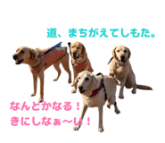 834097789