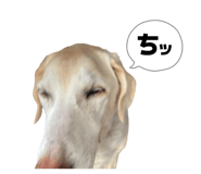 834097808