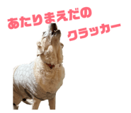 834097809