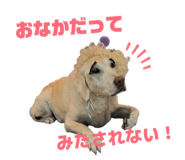 834097810