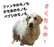 834097813