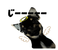 834098289