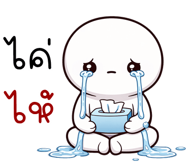 ลายที่ 25