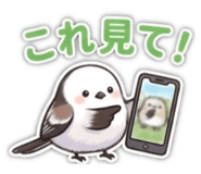 834104382