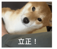 834105474