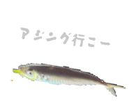 834112053