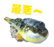834112056