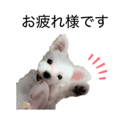 834112260