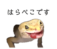 834112279