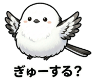 834112629