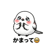 834112840