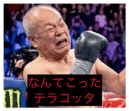 834132646