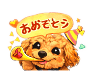 834141662