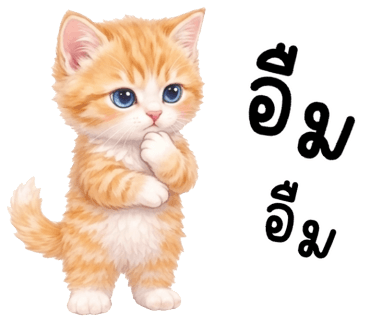 ลายที่ 3