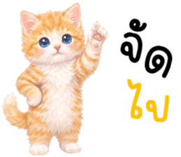 ลายที่ 9