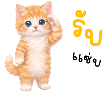 ลายที่ 6
