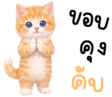 ลายที่ 8