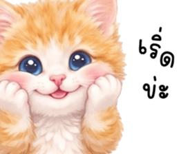 ลายที่ 17