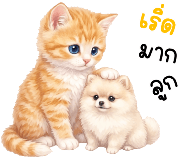 ลายที่ 11