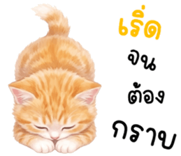 ลายที่ 25