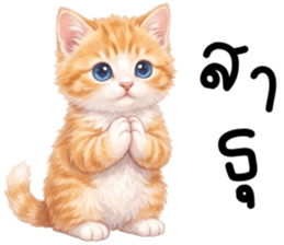 ลายที่ 27