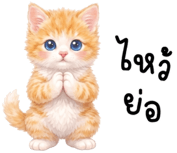 ลายที่ 29