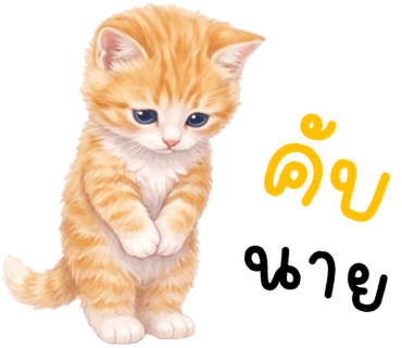 ลายที่ 16