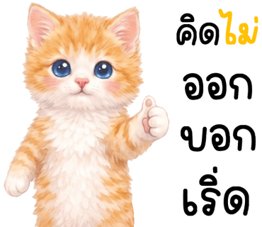 ลายที่ 23