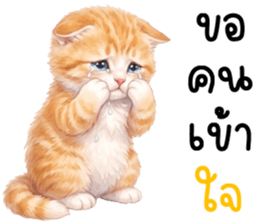 ลายที่ 49