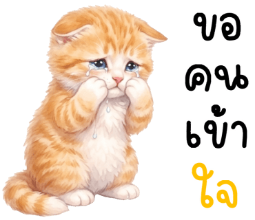 ลายที่ 25