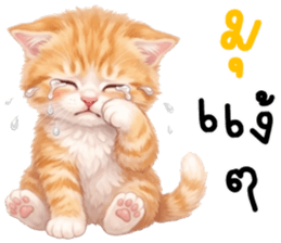 ลายที่ 51