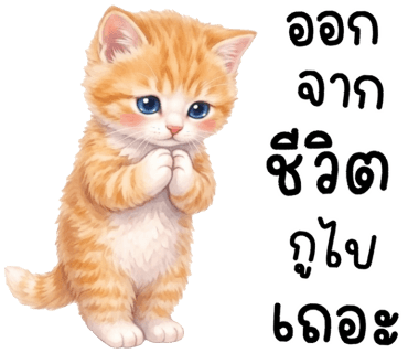 ลายที่ 27
