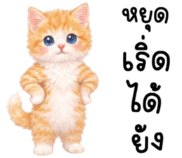 ลายที่ 61