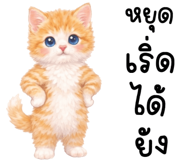 ลายที่ 31