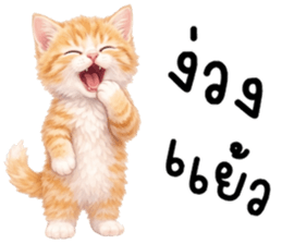 ลายที่ 73