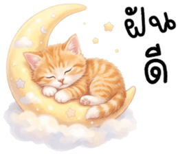 ลายที่ 77