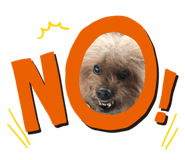 834167507