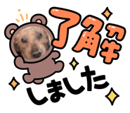 834167531