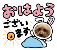 834167533