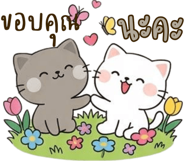 ลายที่ 9