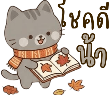 ลายที่ 13